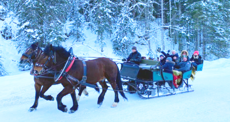 Schlittenfahrt beim Rahmenprogramm der Wintertagung für Immobilienverwalter
