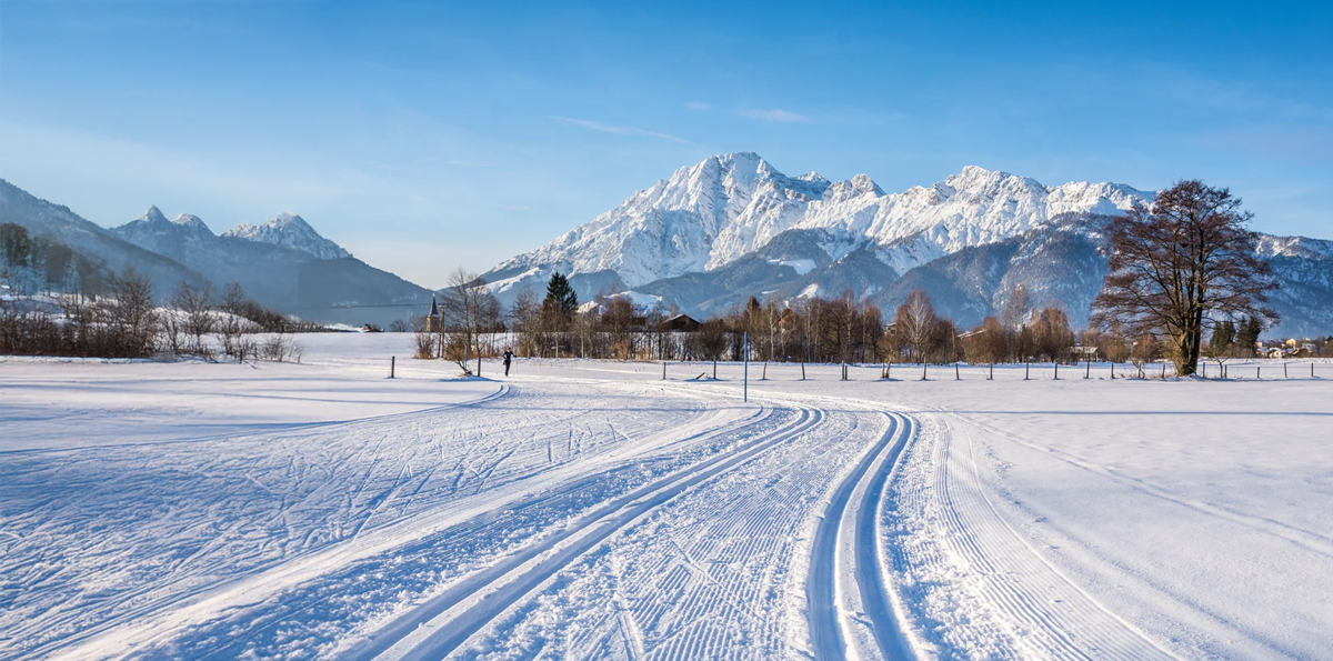 VDIV Deutschland Wintertagung